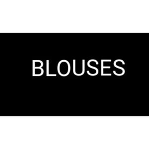 Moving sale! Send Offers! Blouses Divider